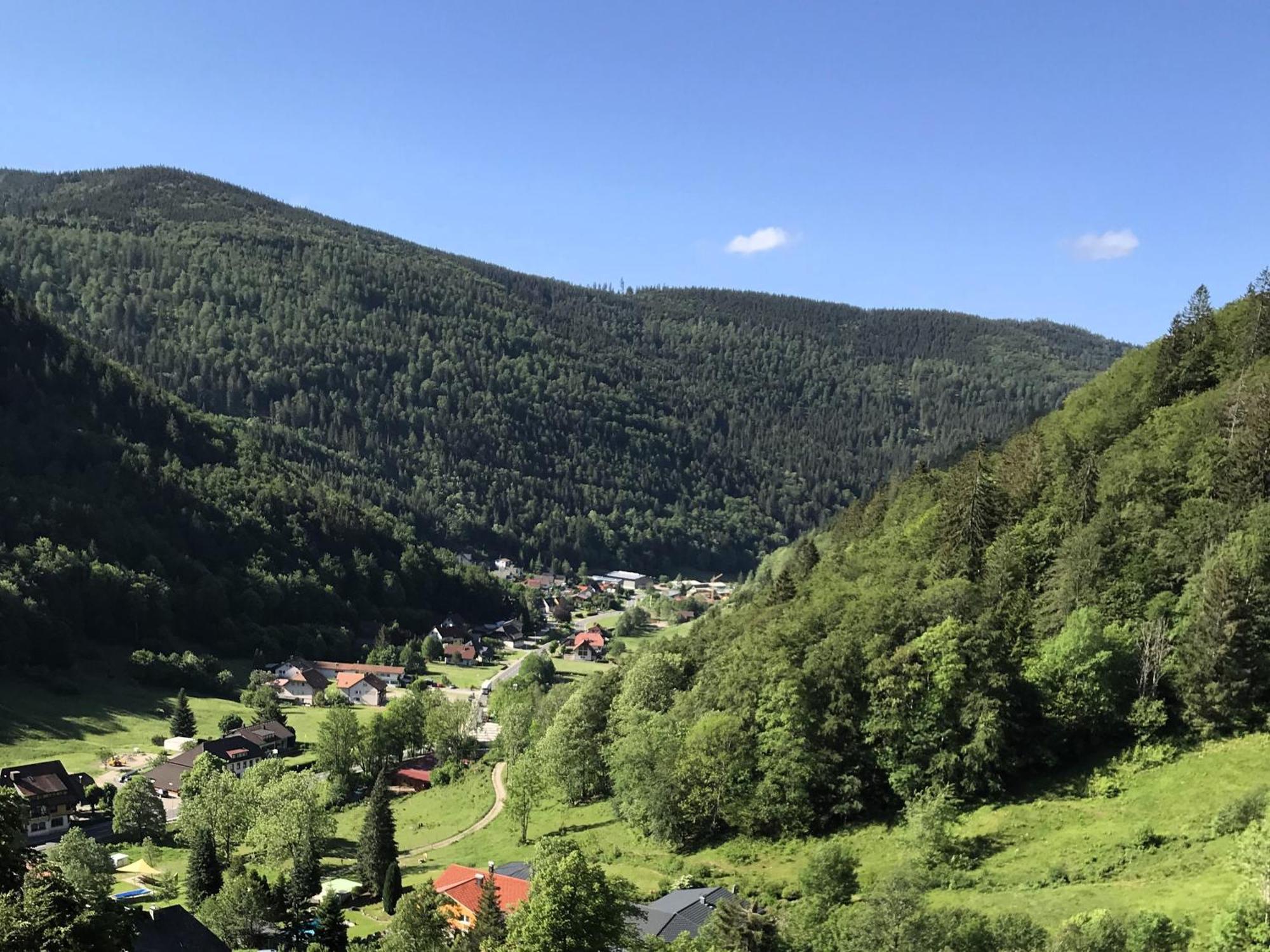 Ferienwohnung Ella, 95Qm, Terrasse Todtnau Dış mekan fotoğraf